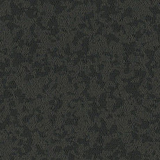 Линолеум Taralay Premium Osmoz 7737 Pepper Grey фото 1 | FLOORDEALER